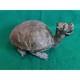 Japanese Vintage Rare Animal Copper Turtle Metal Display Ornament From Japan