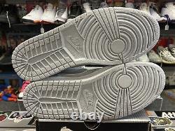 Nike Air Jordan Retro 1 Metallic Silver 2001 Size 12 Authentic Rare Vintage VTG