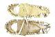 Vintage Rare Ll Bean Brown Leather Metal Frame Winter Walker Snowshoes