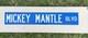 Vintage Rare Mickey Mantle Blvd Yankees Metal Street Road Sign Very Heavy 36