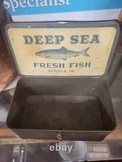 Vintage Rare Early Deep Sea Fresh Fish Metal Counter Top Display