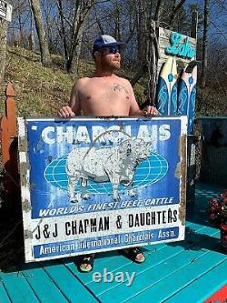 Vintage Rare Lg 48X40 Charolais Cow Farm Metal Sign With Cow Bull Graphic 2 sided