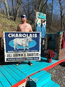 Vintage Rare Lg 48X40 Charolais Cow Farm Metal Sign With Cow Bull Graphic 2 sided