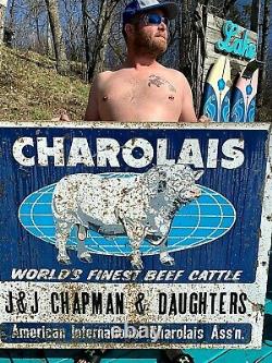 Vintage Rare Lg 48X40 Charolais Cow Farm Metal Sign With Cow Bull Graphic 2 sided